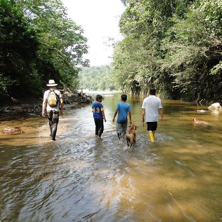 Grand Selva Lodge & Tours テナ エクステリア 写真