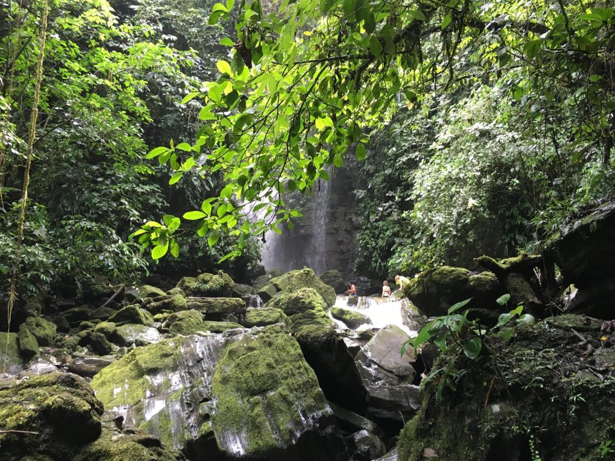 Grand Selva Lodge & Tours テナ エクステリア 写真