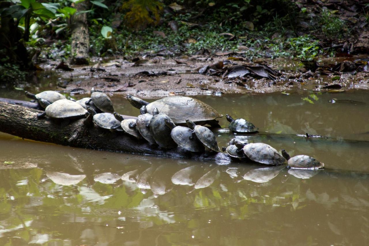Grand Selva Lodge & Tours テナ エクステリア 写真