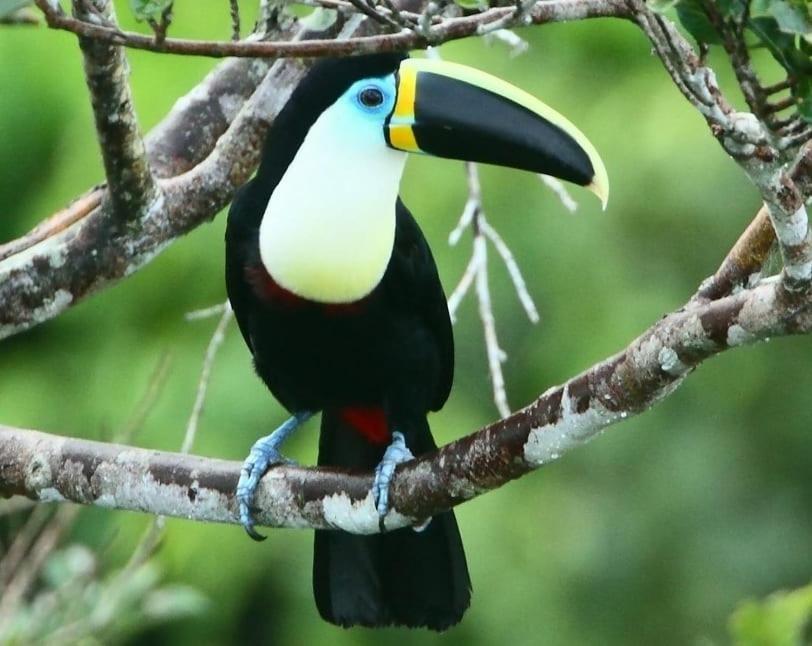 Grand Selva Lodge & Tours テナ エクステリア 写真