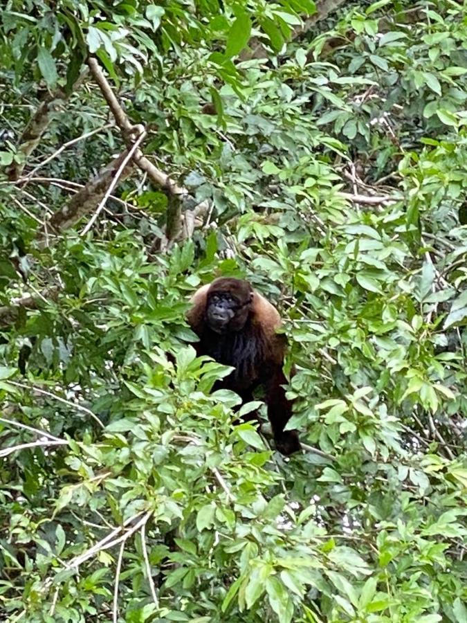 Grand Selva Lodge & Tours テナ エクステリア 写真
