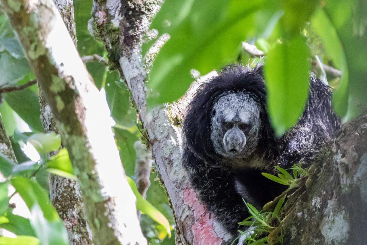 Grand Selva Lodge & Tours テナ エクステリア 写真